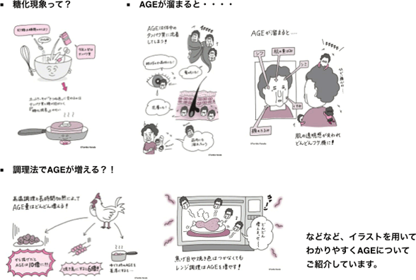 イラストを用いてわかりやすくAGEについてご紹介しています。