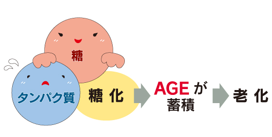 体内でつくられるAGE
